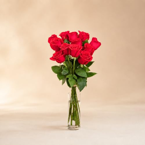 FLORES SOLIDARIAS - Ramos de Flores Naturales Rosas Rojas - Ramo Fresco de Calidad para Regalo, San Valentín, Día de la Madre, Bodas, Aniversarios, Cumpleaños y Decoración del Hogar