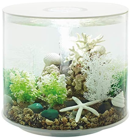 biOrb 72071 TUBE 35 LED weiß - 35 Liter 360-Grad Deko-Aquarium Komplett-Set aus Acryl-Glas mit LED-Beleuchtung, Filter-System und Boden-Keramik
