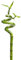 Verdecora Lucky Bamboo | Bambú de la suerte | Planta natural de interior (Espiral 40cm)