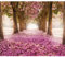 decomonkey - Papier Peint Panoramique Adhésif Allee Fleurs 245x175 cm - Stickers Muraux Chambre Déco XXL Autocollant - Marron rouge rose beige - Routes arbres fleurs forêt feuilles nature paysage