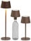 Northpoint 3in1 LED Tischlampe Flaschenleuchte max. 45cm hoch mit 3000mAh Akku 200lm warmweißes Licht (3000K) stufenlos dimmbar für Innen und Außen (taupe)
