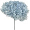 Ortensia STABILIZZATA | Vari Colori | 20x60 cm Bomboniera Allestimento Feste Cerimonie Fiori Fiore Vero (Celeste)
