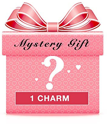 GNOCE Mystery Charm Geschenk Sterling Silber Charm Bead Schmuck Geschenk für Mädchen Frau Tochter Fit Armbänder