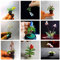 Saterkali Seltene Mini-Orchideensamen, 100 Stück, seltene Mini-Orchideensamen, Samen, Blumen, Phalaenopsis, für den Innen-Miniaturgarten