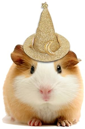 Jiawu Halloween-Hut, Hamster-Hut, Mini-Kleintier-Hut, Kleintier-Kostüm, Halloween-Zauberer-Hut, Halloween-Kostüme, Hexenkopf-Zubehör, Ideal für Kaninchen, Eidechsen, Meerschweinchen