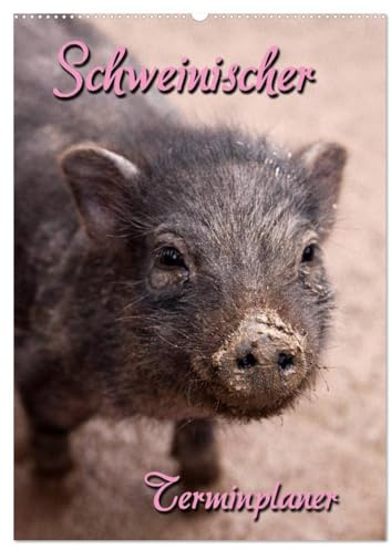 Schweinischer Terminplaner (Wandkalender 2026 DIN A2 hoch), CALVENDO Monatskalender: Terminplaner mit kleinen und großen Schweinen (CALVENDO Tiere)