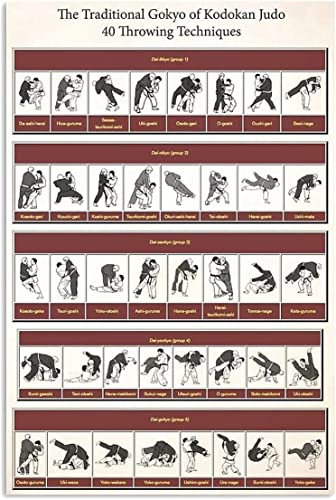 Judo Wissen Metallschilder Wanddekoration Das traditionelle Gokyo von Kodokan Judo Poster 40 Wurftechniken Leitfaden Plaketten Vintage Blechschild für Judokan Club Zimmer Fitnessstudio 16x12 Zoll