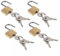 Lot de 4 cadenas de voyage pour valise, boîte aux lettres, bagages, cadenas à clé