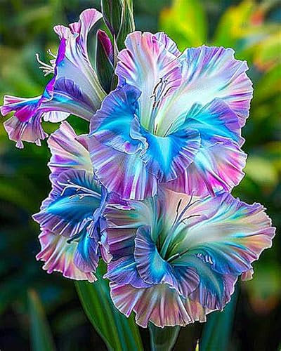 Bulbi Di Gladioli, Colori Dell'Arcobaleno,Bulbi Da Giardino,Gladioli, Balcone,Tanti Fiori, Resistenti Al Freddo, Fioritura Precoce, Piante In Vaso, Misteriosi Bulbi Magici-10bulbi-A