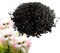 Semilla de flor cara del gato | 100pc Cat Face Orchid Seeds | Lindas semillas plantas flores orquídeas con forma única | Fragancia natural Decorativa Floraciones frescas para sala estudio dormitorios