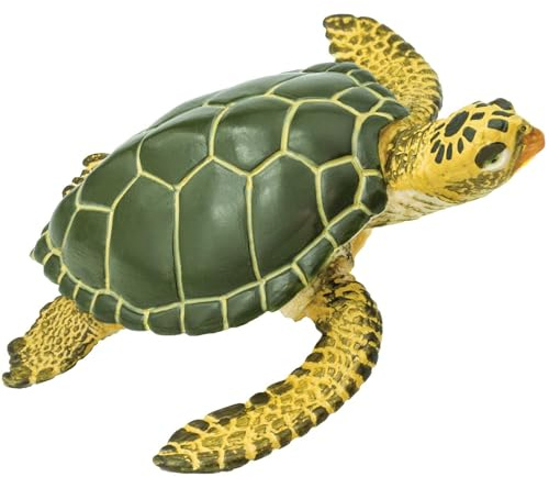 Safari Ltd. Green Sea Turtle Figurine - Detailed 3.58 Plastic Model Figure - Fun Educational Play Toy for Boys, Girls & Kids Ages 3+