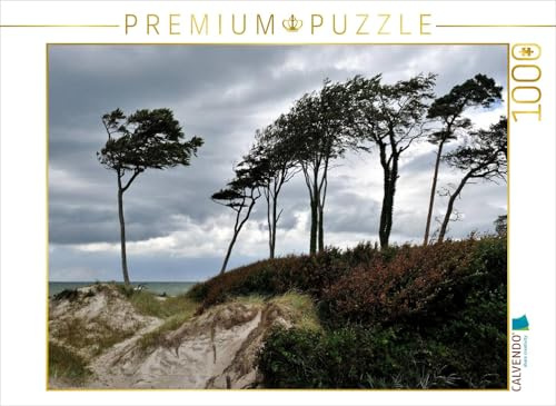 CALVENDO Puzzle Windflüchter beugen Sich quer über den Sand | 1000 Teile Lege-Größe 64 x 48 cm Foto-Puzzle für glückliche Stunden