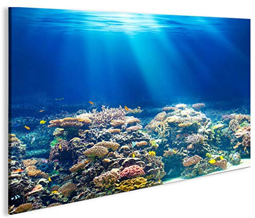 islandburner Bild Bilder auf Leinwand Unterwasser Tauchen Korallen Meerwasser 1K XXL Poster Leinwandbild Wandbild Dekoartikel Wohnzimmer Marke