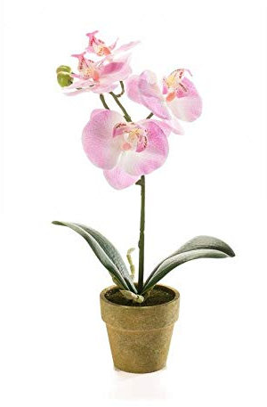 artplants.de Orchidea phalaenopsis Finta Seth in Vaso Decorativo, Rosa, 25cm - Orchidea Artificiale - Fiore di Seta