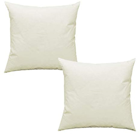 Haus und Deko 2er Pack Füllkissen Federn Kissen Inlett Kissenfüllung Kopfkissen Innenkissen Federkissen Baumwolle (45x45 cm)