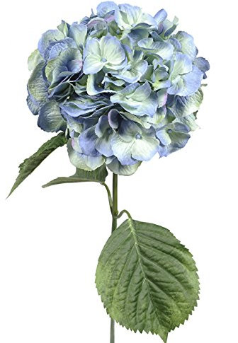 FloristryWarehouse splendidamente dettagliato artificiale azzurro singolo stelo ortensia