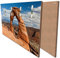 wandmotiv24 Garderobe Delicate Arch USA Querformat - 69x40 (BxH) - Dekorfolie Wandgarderobe, inklusive Garderoben-Haken, Kleiderhaken, Set M0264