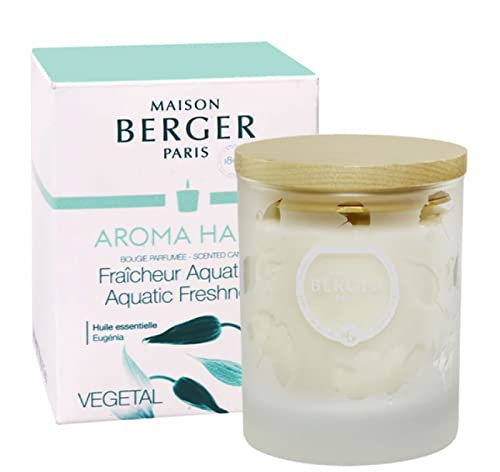 Lampe Berger Duftkerze Aroma 180 g
