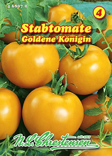 Stabtomate, Goldene Königin mittelfrüh N.L.Chrestensen Samen 468070-B