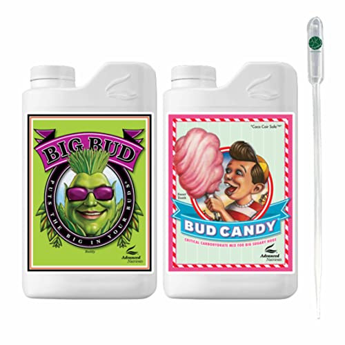 IVORYS-GARDEN Advanced Nutrients Big Bud + Bud Candy je 250 ml Dünger Booster und Geschmacks-Versbesserer für Fruchtpflanzen