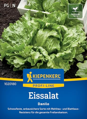 Kiepenkerl Profi-Line Eissalatsamen Danilo 1020180 - Schossfeste Salatsamen für die gesamte Freilandsaison und einem Inhalt für 120 Pflanzen - Saatgut
