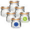 Einmachgläser 500ml 6er Set mit Deckel – hochwertige Drahtbügelgläser mit Gummiring, luftdicht, ideal zum Einmachen, Aufbewahren, Fermentieren, Vorrat, Marmelade, Honig, Likör, BPA-frei (500ml)