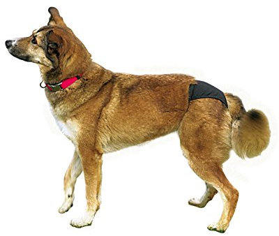 TRIXIE - Hundeschutzhöschen de Luxe S / 1, schwarz