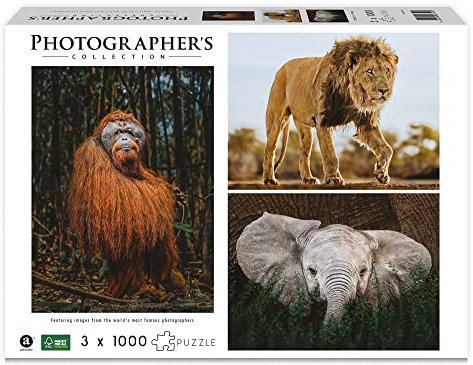 Ambassador 7230790 Wildtiere, 3x1000 Teile Puzzle für Erwachsene und Kinder ab 10 Jahren, Photographer's Collection, Donal Boyd
