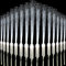 M.best Lot de 32 baguettes lumineuses LED pour mariage, 3 modes clignotants qui brillent dans le noir - Fibres blanches - Accessoires pour anniversaire d'enfant, mariage