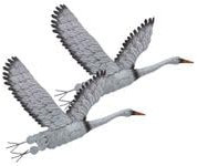 BURI 2x Wandfigur Kranich aus Metall 46 x 33cm Wandbild zum Anhängen - Wanddekoration Reiher Tiermotiv wetterfest für drinnen und draußen Wandskulptur Dekofigur