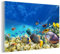 MuchoWow Glasbild Glasfoto Wandbild Bilder Deko 60x40 cm Meer - Fische - Korallen - Unterwasserwelt
