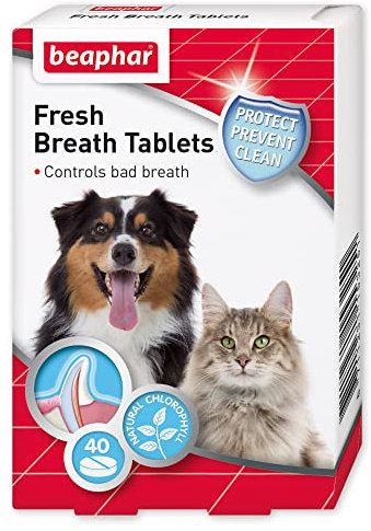 Beaphar | Fresh Breath Tablets | Dental Care For Dogs & Cats | Made from Natural Plant Extract | 40 Tablets