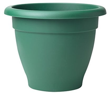 Stewart 2002019 33 cm Essentials Planter - Dark Green