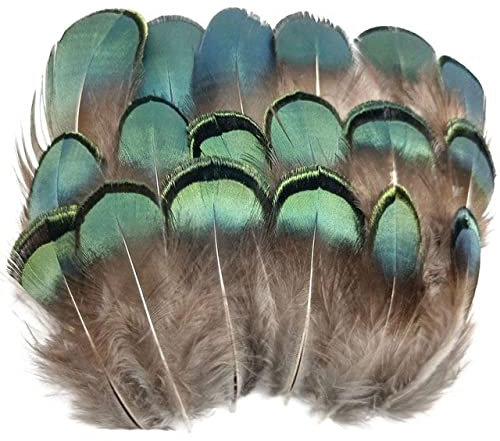 Natürliche Pfau-Fasan-Feder-Strauß-Truthahn-Federn für Handarbeiten, Kopfschmuck, Kunsthandwerk, Dekorationszubehör, China, 3–7 cm, 50 Stück