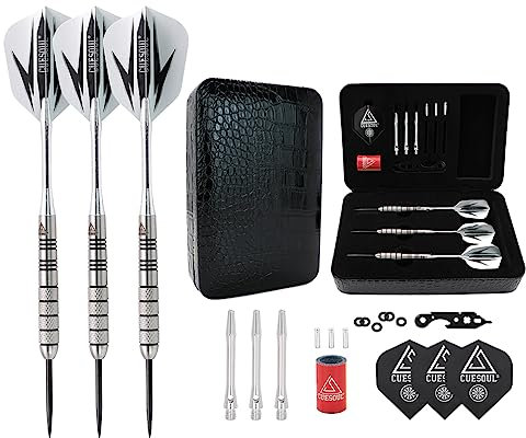 CUESOUL Dart-Set aus 95% Wolfram, 22 g, Wolframstahlspitze, mit 1 Deluxe-Dart-Etui (CSTSTD028-22L)