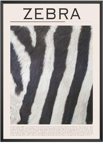 MJ-GRAPHICS® Poster Zebra Fell Bild Tier Textur Wandbild Safari Tierbild Wohnzimmer Büro Dekoration Boho Kunstdruck Schwarz-Weiß Tierposter Natur Deko Wildtier Bilder Tiermotiv - A4 Ohne Rahmen