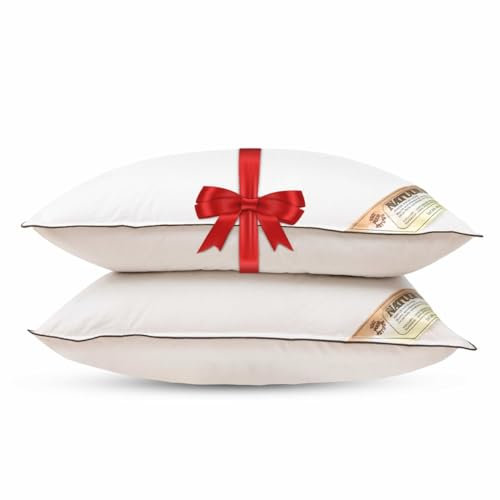 NachtrustOnline NaturKapok Kapok Kopfkissen 60x70 cm - 2er Kissen Set - Kühlendes Kissen - 100% Kapok 1000 Gramm - Die Lösung gegen einen heißen Kopf