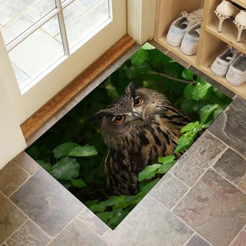 CEDNXOER Waschbare Fußmatte 60x90 cm Innen, Eule Schmutzfangmatte Süße Tiere Rutschfester Fussabtreter, Grün Dünne Türmatte Eingangsteppich für Flur, Eingang, Haustür