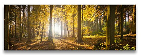 Visario Bild & Kunstdruck der Deutschen Marke 120 x 40 cm ArtNr 5722 Bilder auf Leinwand Kunstdrucke Wald Wandbild einteilig