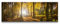 Visario Bild & Kunstdruck der Deutschen Marke 120 x 40 cm ArtNr 5722 Bilder auf Leinwand Kunstdrucke Wald Wandbild einteilig