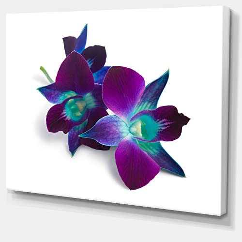 Designart Deep Purple Orchid Flowers on White s Canvas Wall Artwork, 12 H x 20 W x 1 D 1P