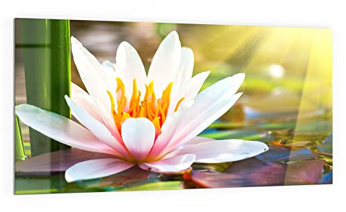 DEQORI Küchenrückwand Glas | Motiv Weiße Seerosenblüte | 100x50 cm | Bad- oder Herd-Rückwand | Herdblende Spritzschutz für Küche & Badezimmer | moderne Deko für Fliesenspiegel