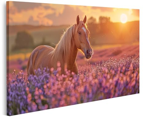 islandburner Bild auf Leinwand Pferd Steht elegant in einem Lavendelfeld voller leuchtender Farben und Kontraste Bilder Wandbilder Poster