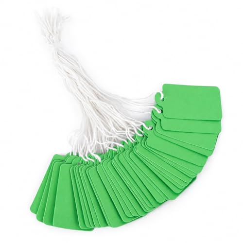 jijAcraft Grün Klein Preisetiketten mit Fäden: 25 × 45mm Mini Hängeetiketten Flohmarkt, 200 Stück Preisschilder Anhänger zum Beschriften, Blanko Markierungsetiketten für DIY, Kleidung, Schmuck