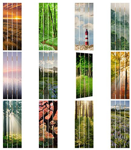 Holzbild Landschaften & Wälder - Bergwiese Blumen vor Mt. Rainier 120x48cm