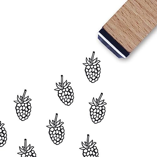 Gummistempel mit Beeren, 3/5 Zoll, klein, Mini-Blaubeer-Himbeer-Stempel für Scrapbooking, Kartenherstellung, Planer