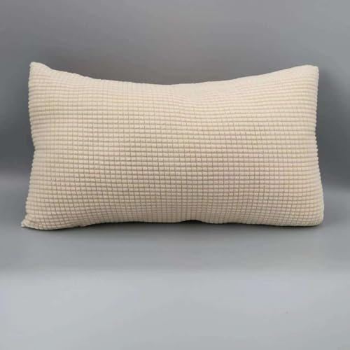 Sofa Kissenbezug 50x70 40x70 2er Set Samt Kissenbezüge 40x60, Zierkissenbezug Dekokissen Sofakissen Mit Reißverschluss 60x80 Kissenhülle Dekorative Zierkissenbezüge Kissen Bezug (Color : Beige, Size