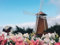 1000 Teile Puzzle ab 14 Jahren,buntes Erwachsenenpuzzle -Mühle, Lilien, Blumen, Gebäude 75x50cm