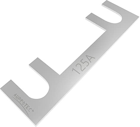 AUPROTEC Lame de fusibles 30A - 150A Fusible à lames choix : 125A Ampere, 5 pièces