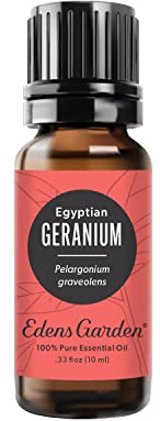 Edens Garden Geranium- Egyptian Essential Oil- 100% Pure 10 ml (.33 fl oz)